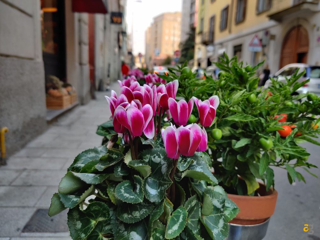 confronto-oneplus-7pro-7t-7tpro-mclaren