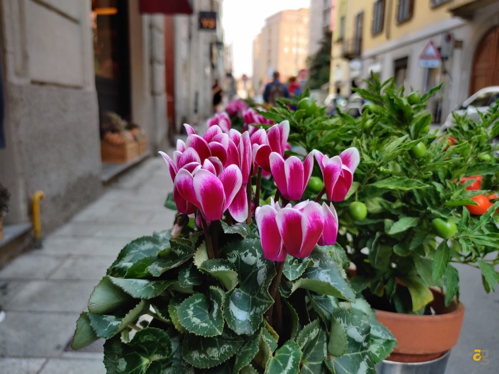 confronto-oneplus-7pro-7t-7tpro-mclaren