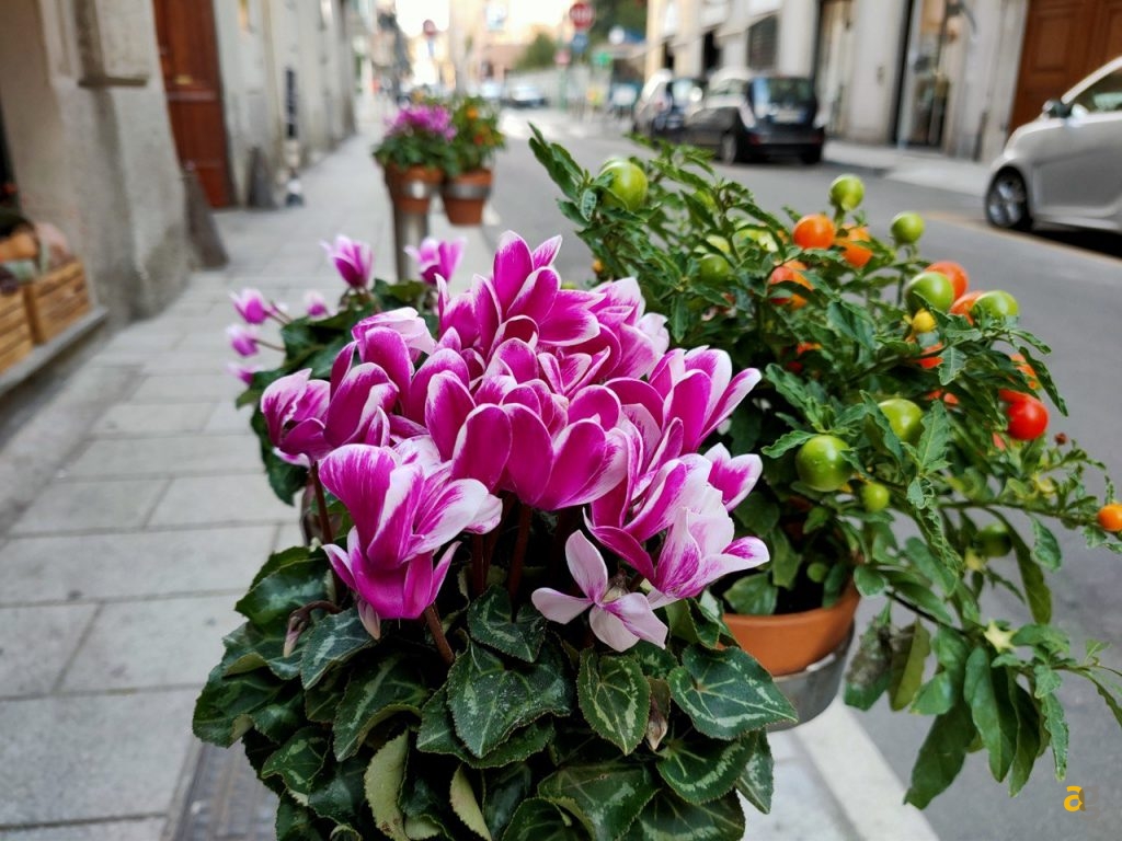 recensione-oppo-reno-2