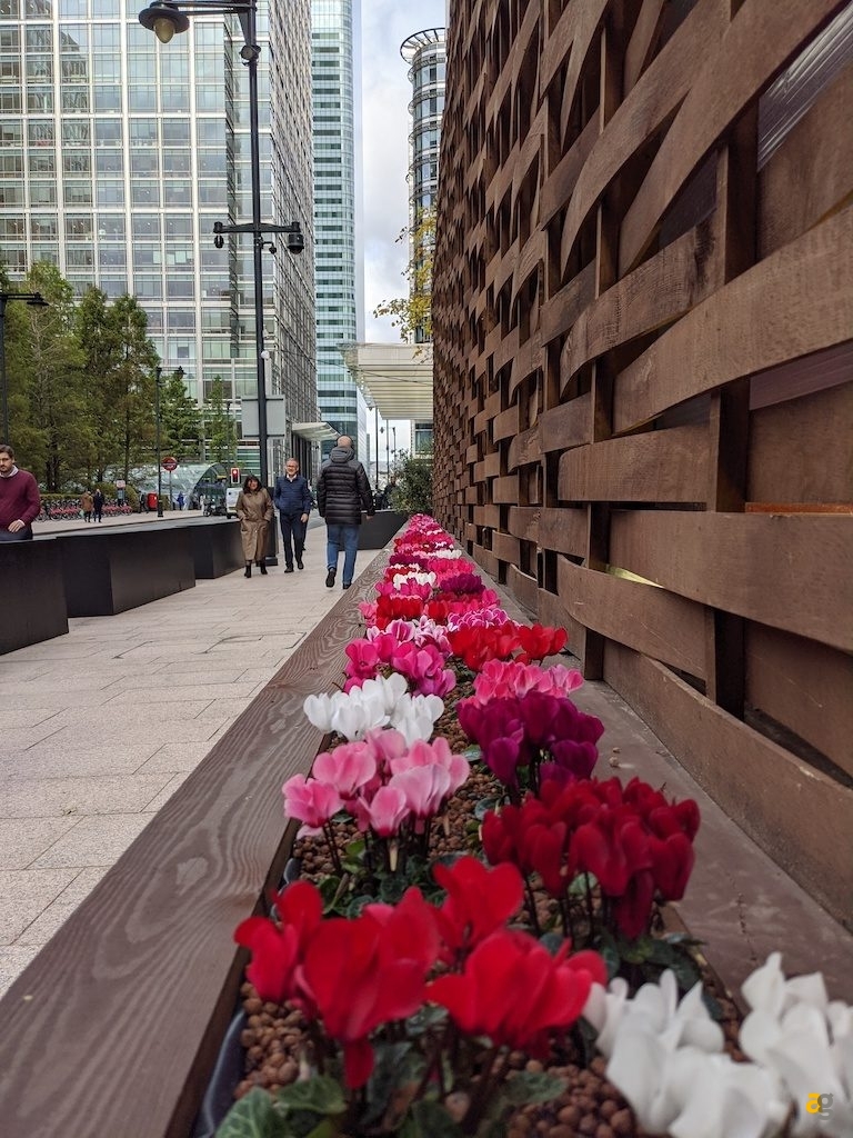 recensione-pixel-4-xl