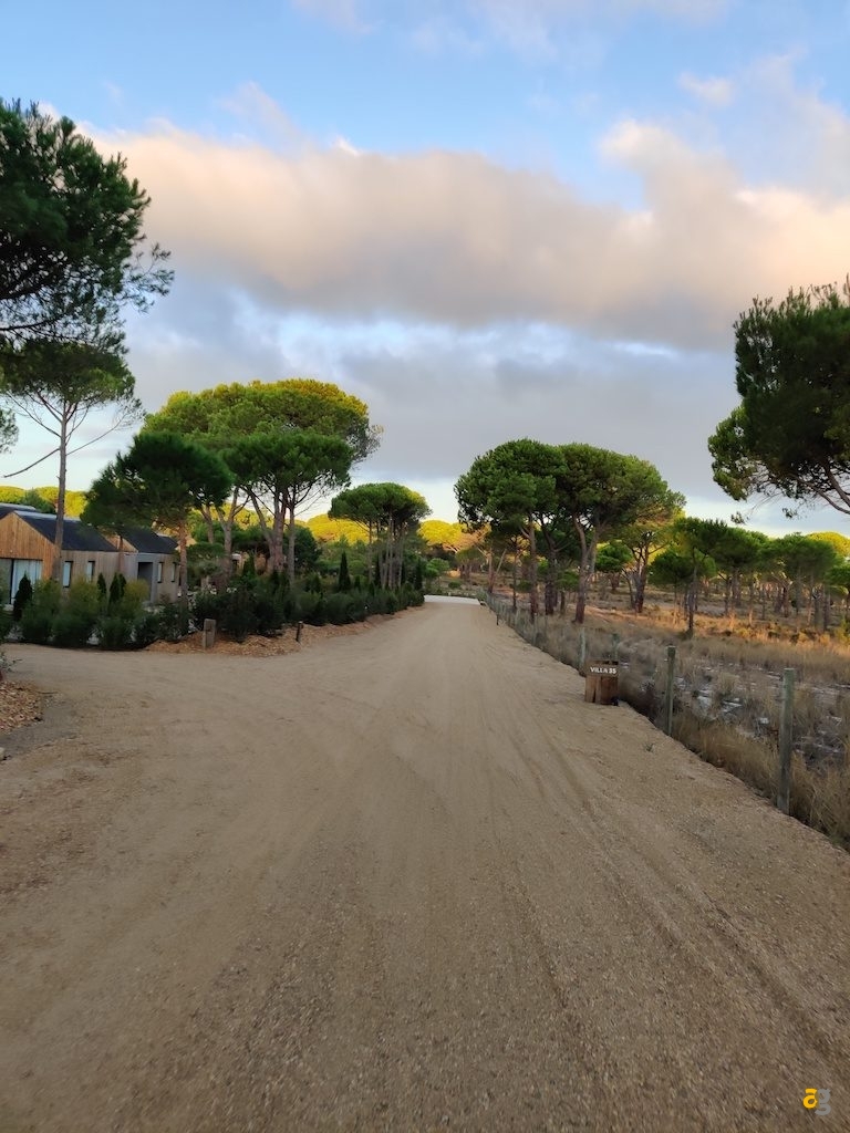 recensione-oneplus-7t-pro