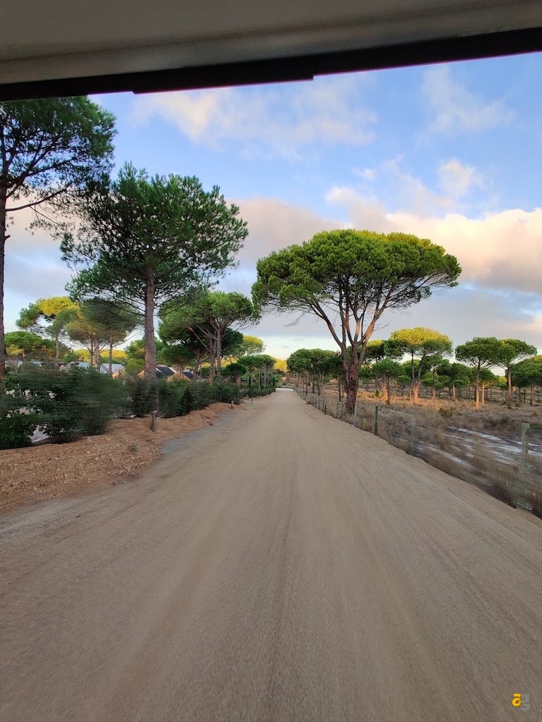 recensione-oneplus-7t-pro