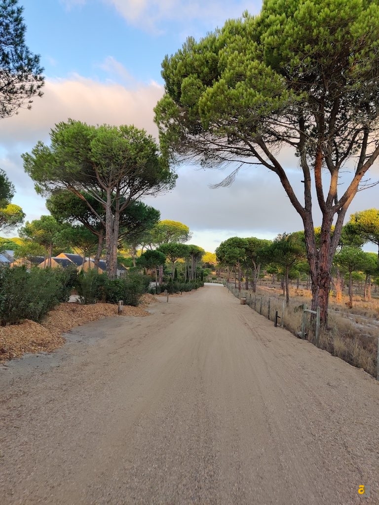 recensione-oneplus-7t-pro