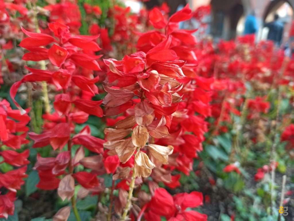 recensione-xiaomi-redmi-note-8-pro