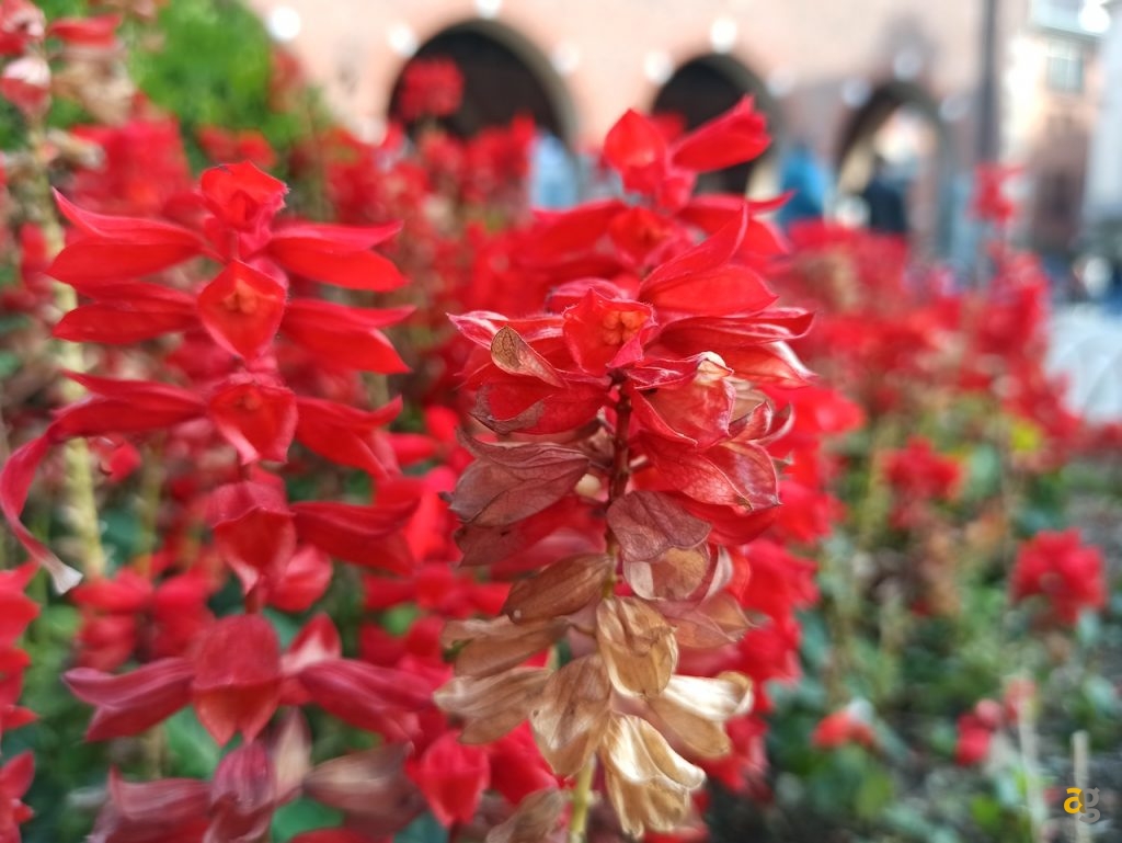 recensione-xiaomi-redmi-note-8-pro