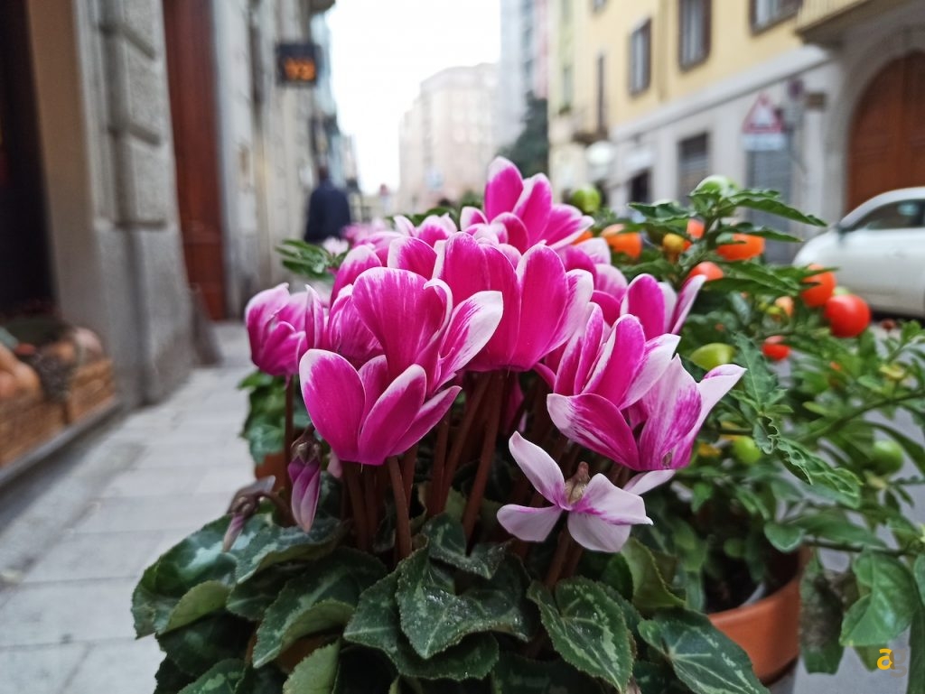 recensione-xiaomi-redmi-note-8-pro