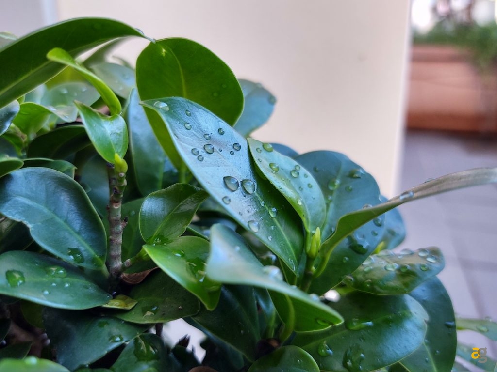 recensione-motorola-one-zoom