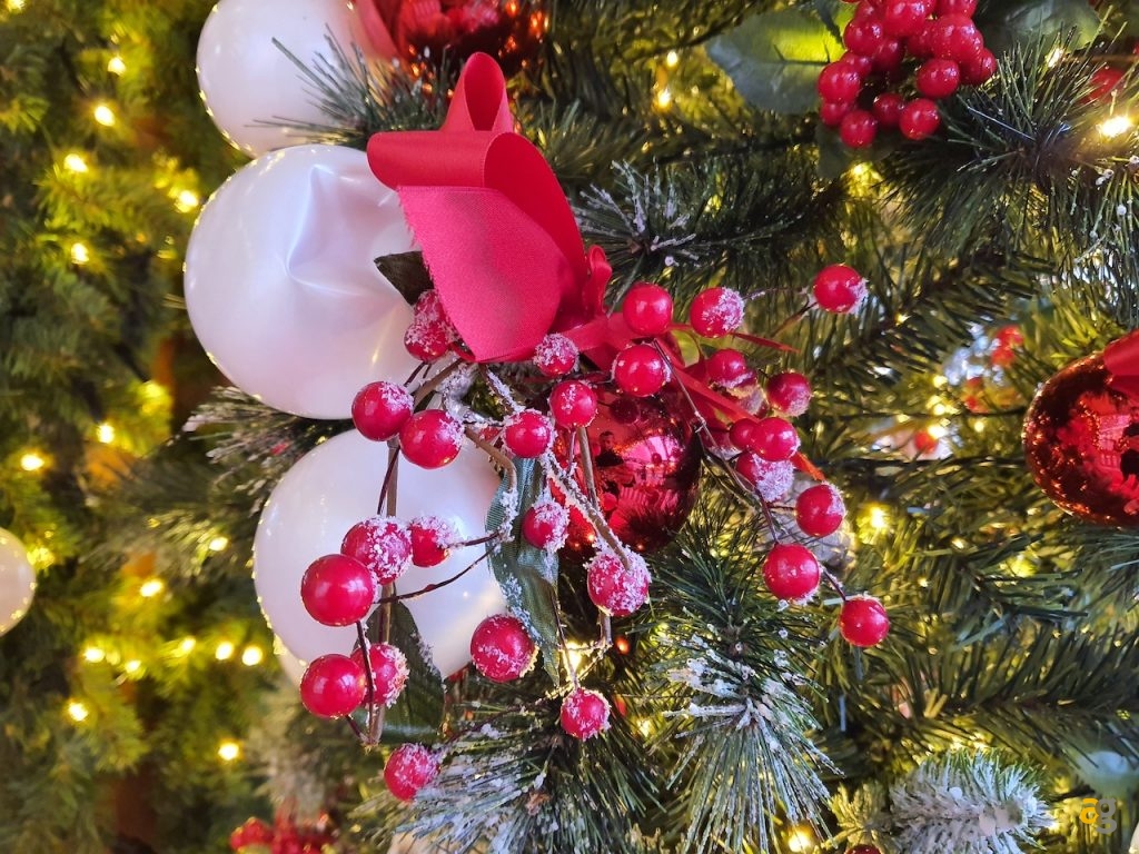 confronto-top-gamma-secondo-semestre-2019