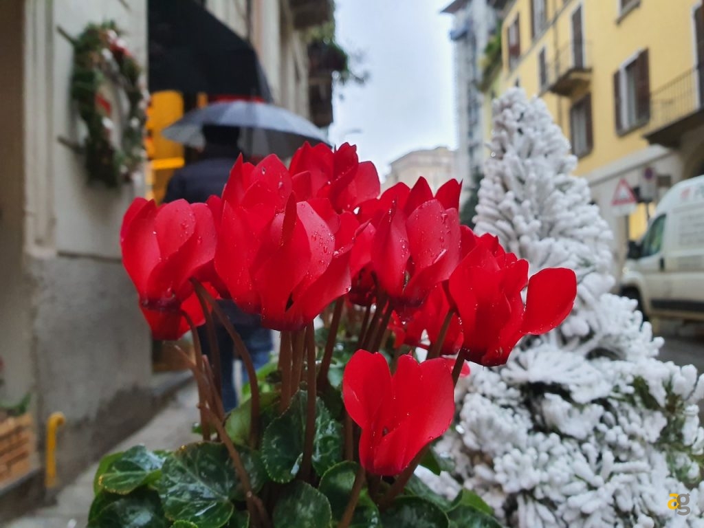 confronto-top-gamma-secondo-semestre-2019