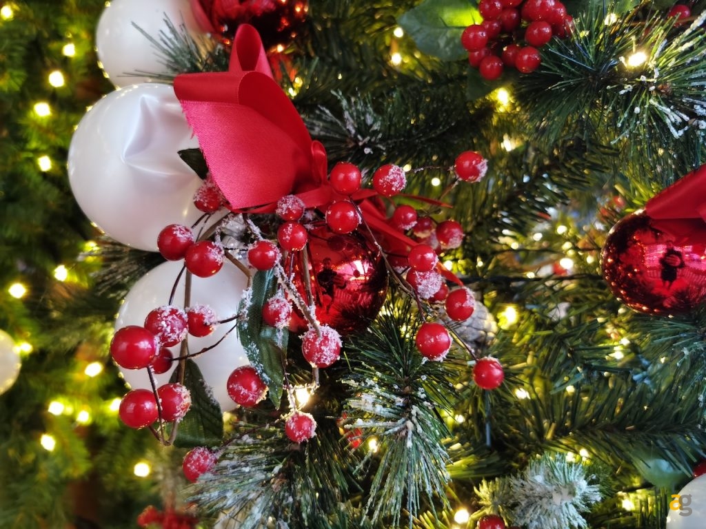 confronto-top-gamma-secondo-semestre-2019