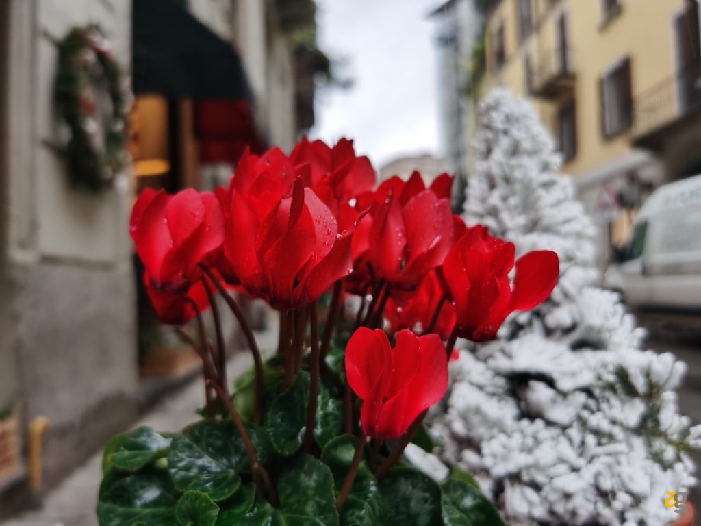 confronto-top-gamma-secondo-semestre-2019