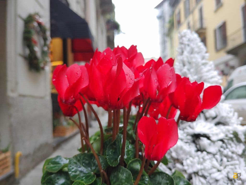 confronto-top-gamma-secondo-semestre-2019