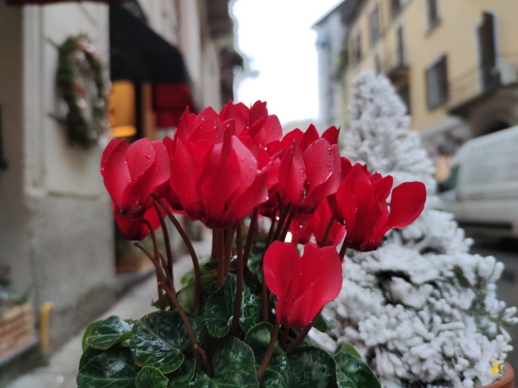 confronto-top-gamma-secondo-semestre-2019