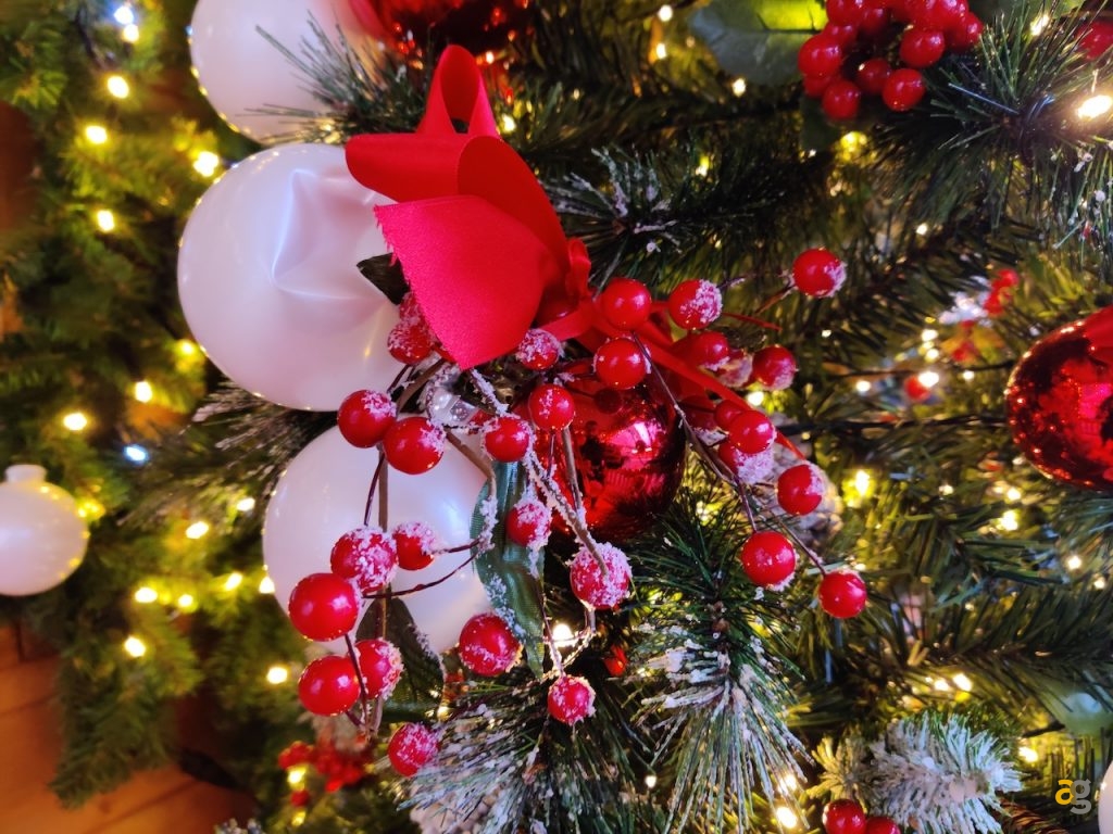 confronto-top-gamma-secondo-semestre-2019