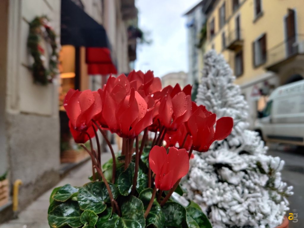 confronto-top-gamma-secondo-semestre-2019