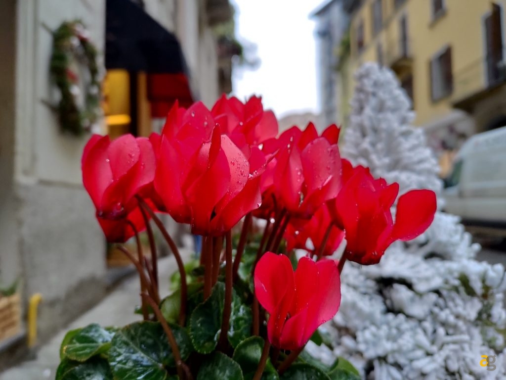 confronto-top-gamma-secondo-semestre-2019