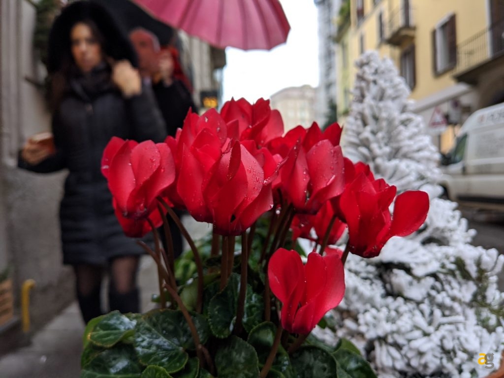 confronto-top-gamma-secondo-semestre-2019