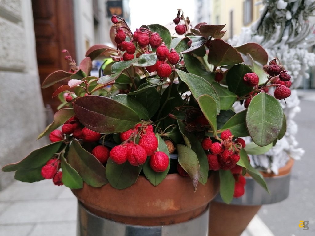 recensione-huawei-p30-lite-new-edition