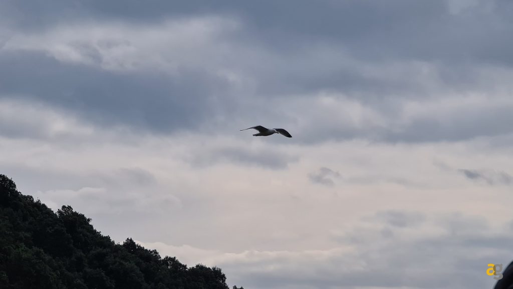 recensione-samsung-galaxy-s20-ultra