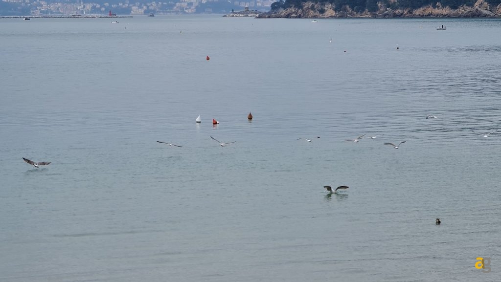 recensione-samsung-galaxy-s20-ultra