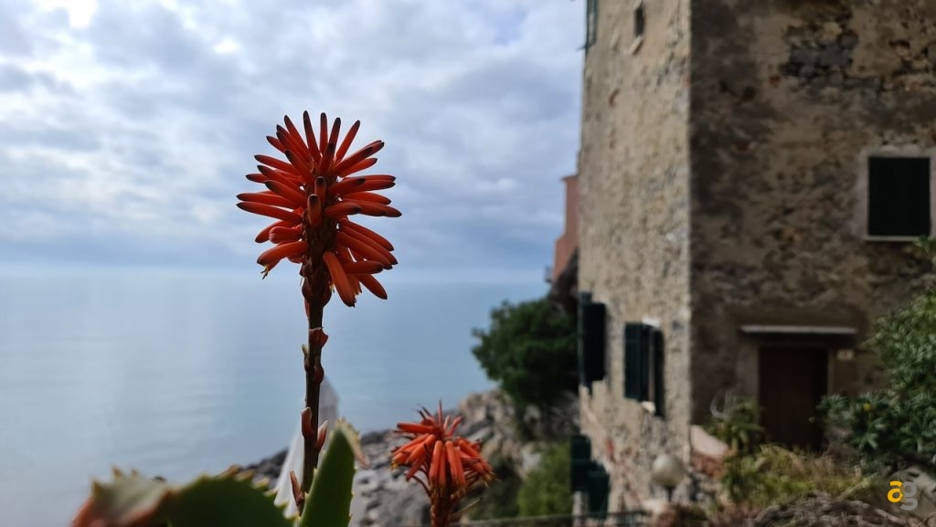 recensione-samsung-galaxy-s20-ultra