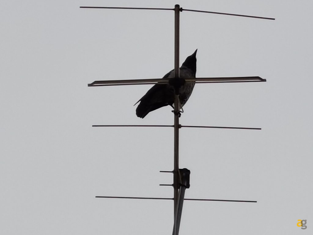 recensione-huawei-mate-xs