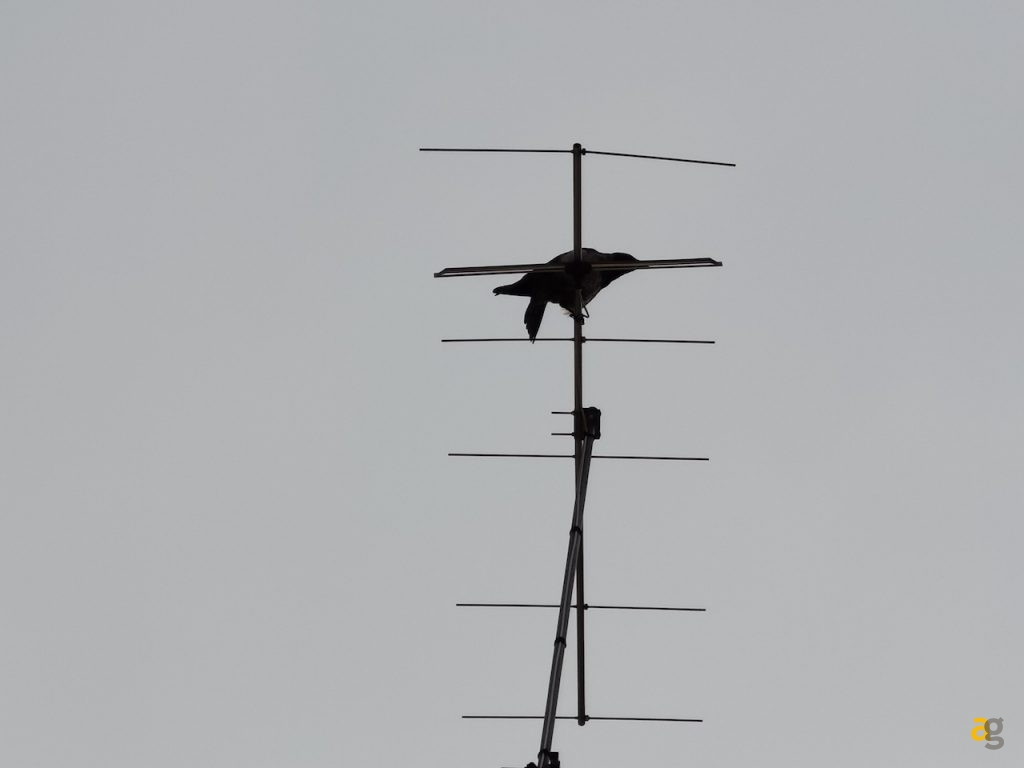 recensione-huawei-mate-xs