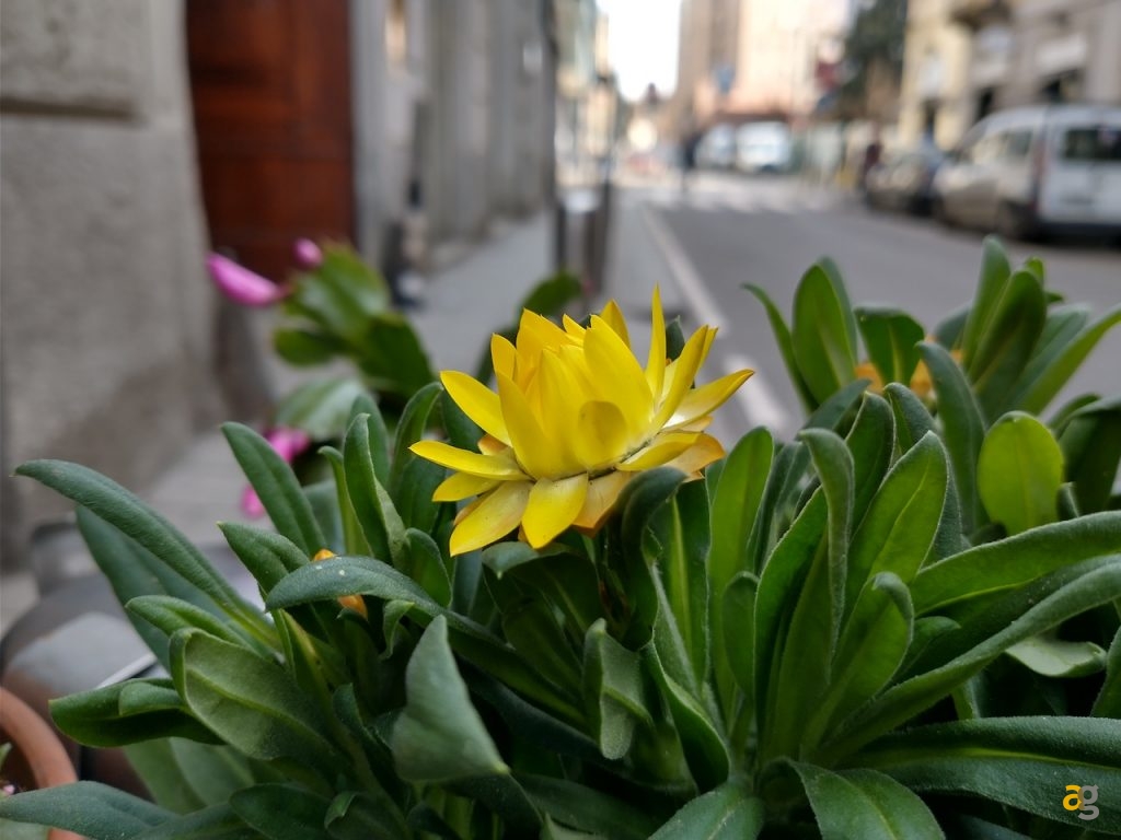 recensione-motorola-moto-g8-power