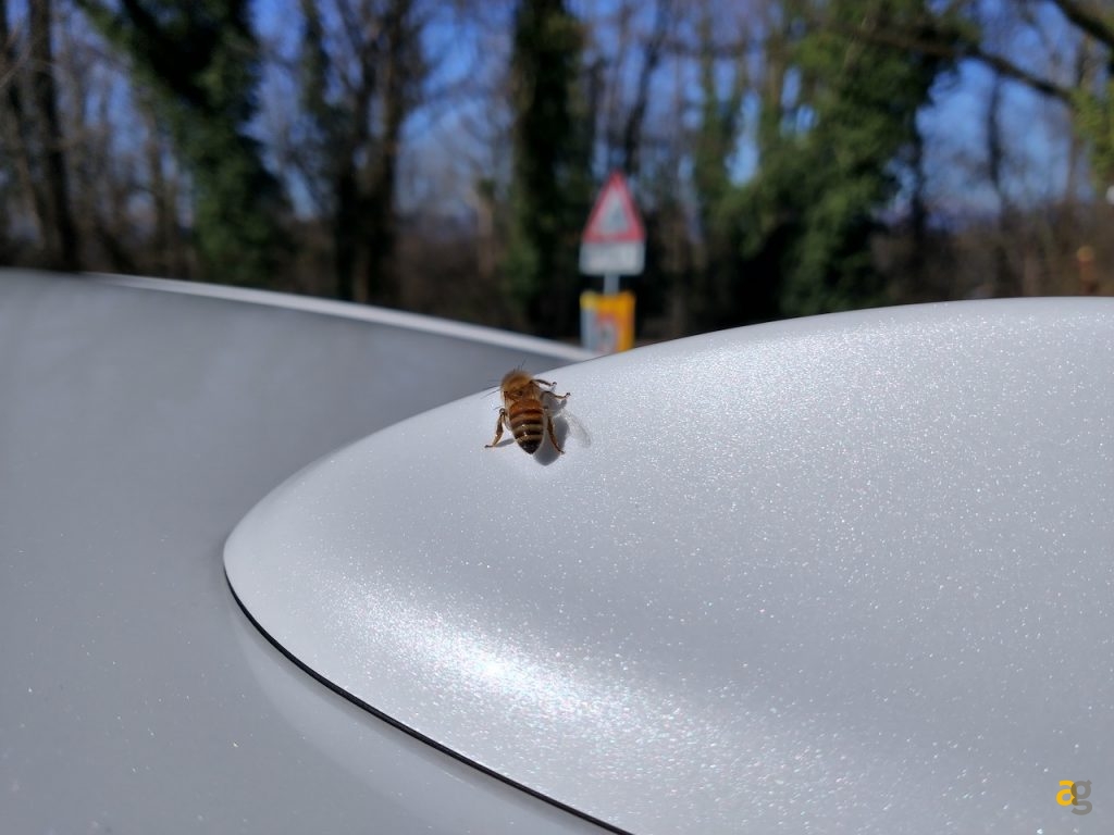 recensione-motorola-moto-g8-power