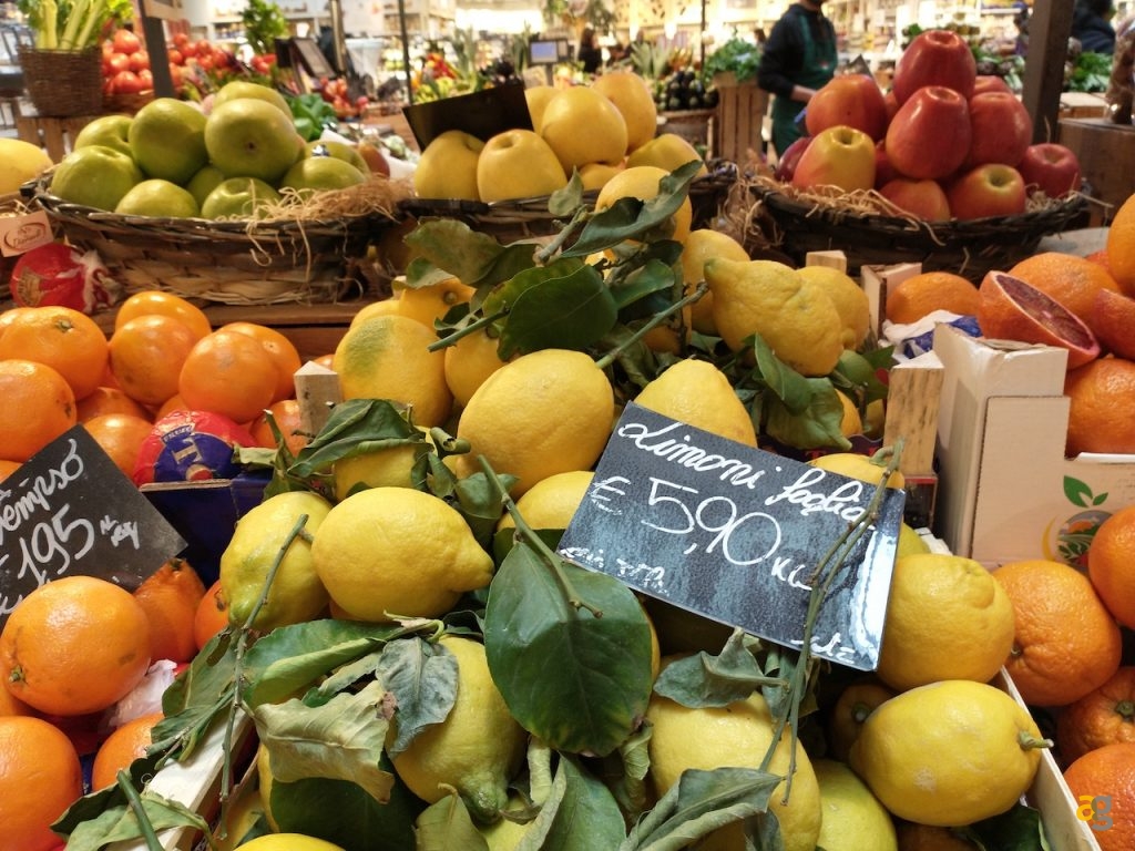 recensione-motorola-moto-g8-power