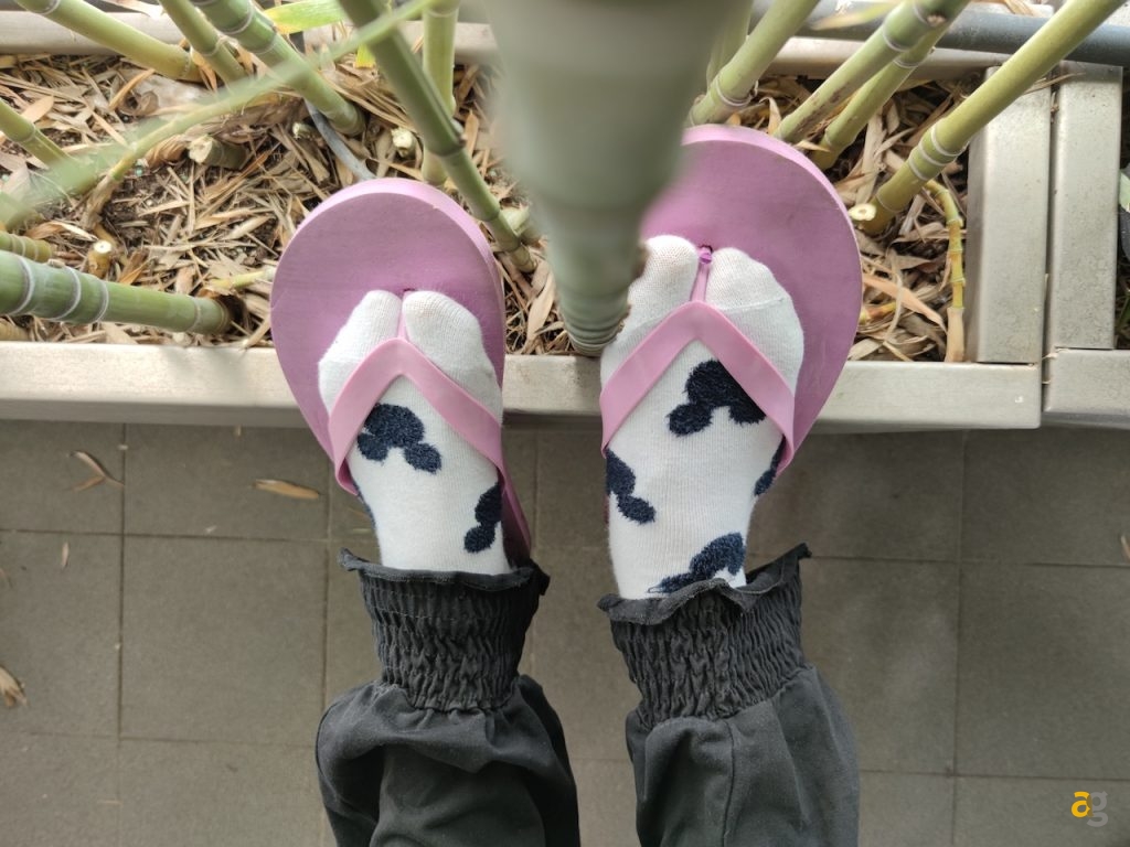 confronto-foto-top-gamma-2020