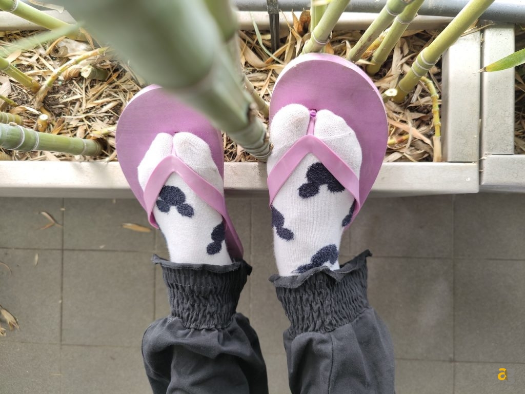 confronto-foto-top-gamma-2020