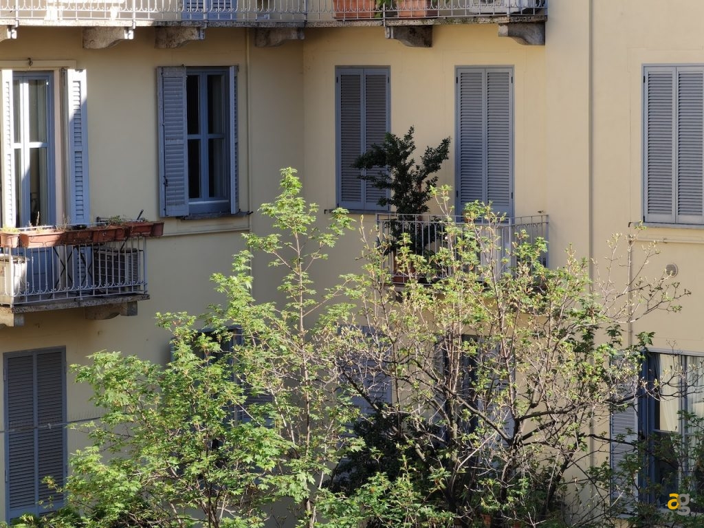 confronto-foto-top-gamma-2020