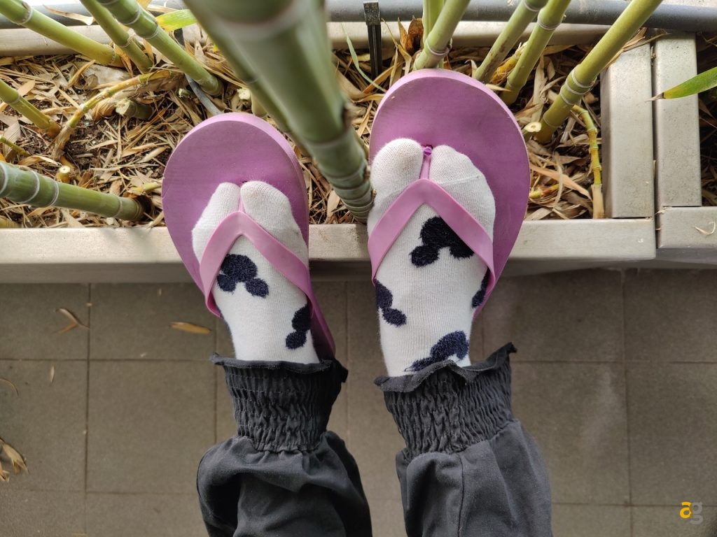 confronto-foto-top-gamma-2020