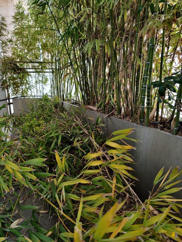 recensione-oneplus-8-pro