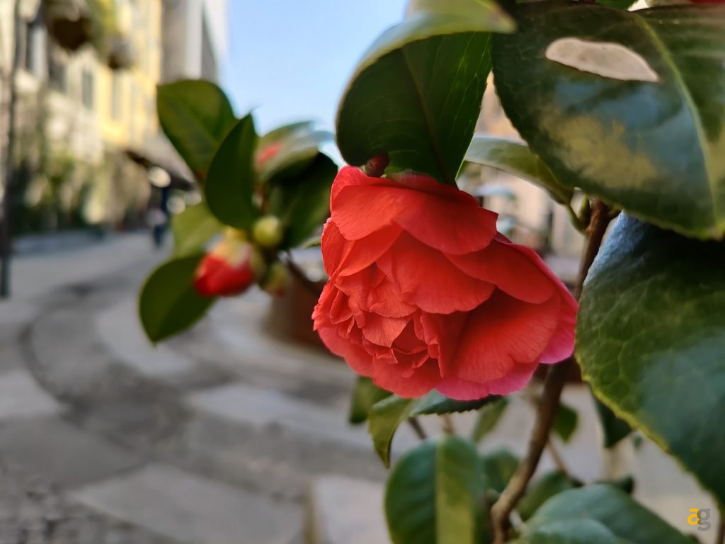 recensione-oneplus-8-pro