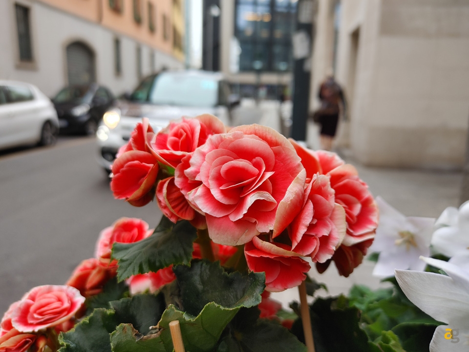 recensione-lg-v60-thinq-5g