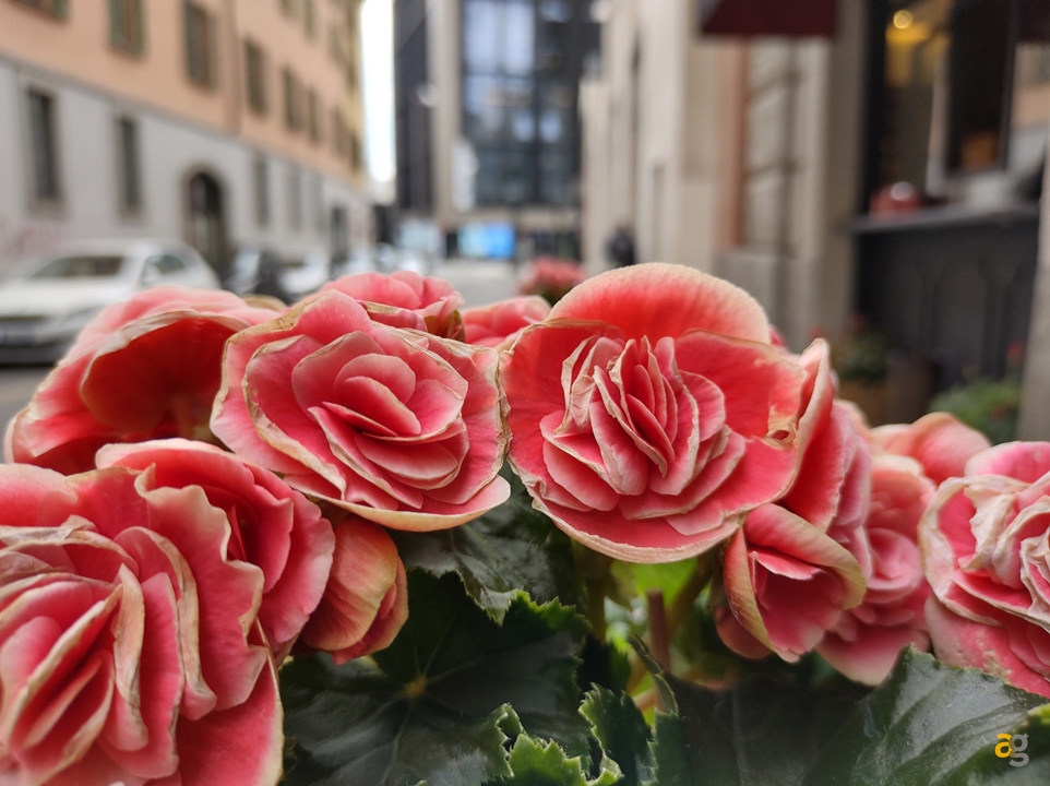 recensione-motorola-edge