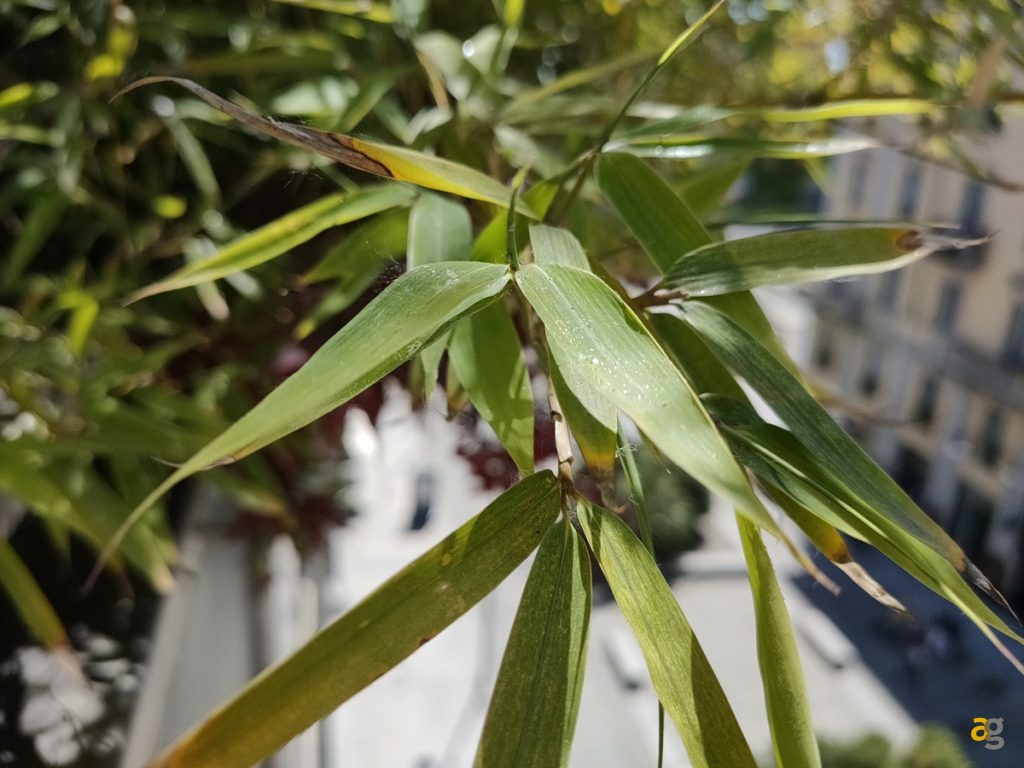 recensione-oppo-find-x2-neo