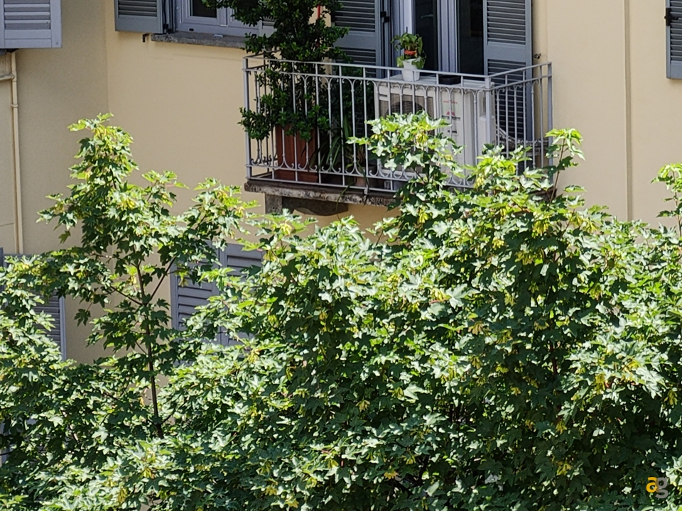 recensione-realme-x3-superzoom