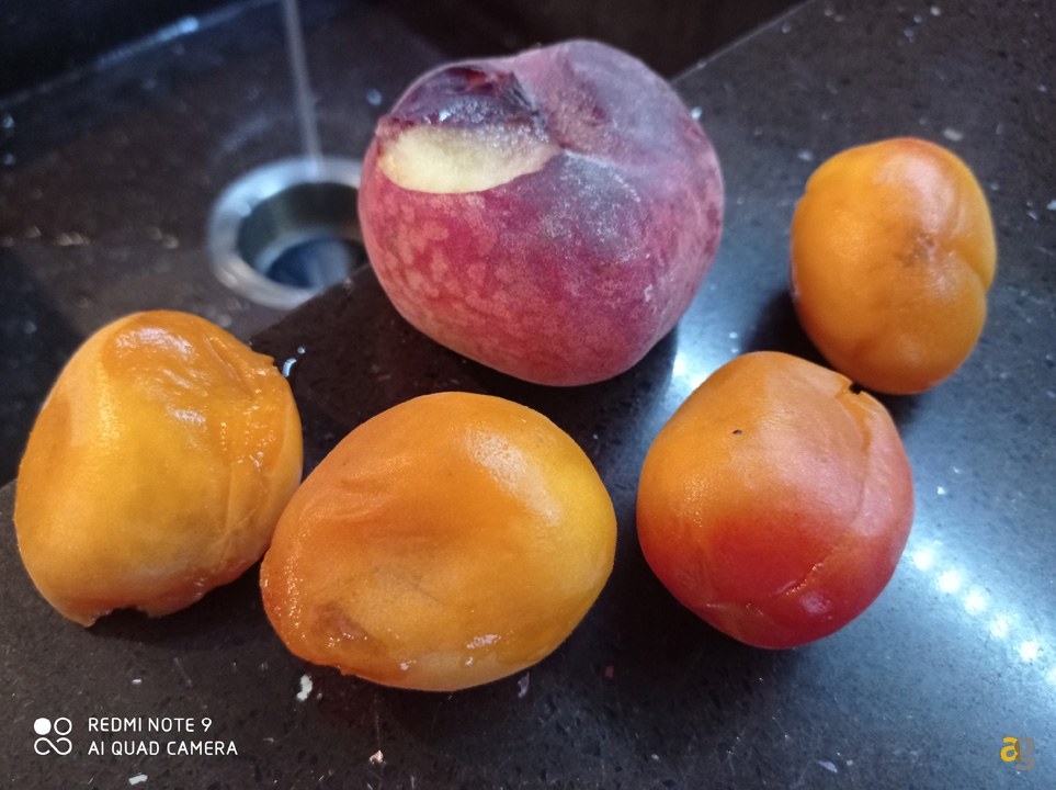 recensione-redmi-note9