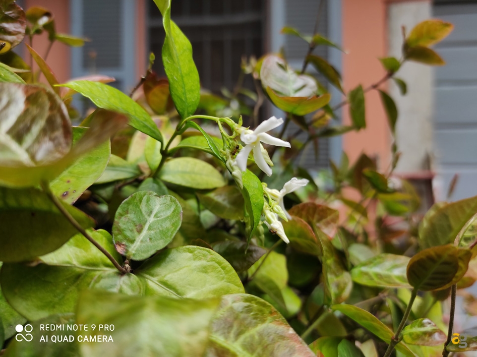 recensione-redmi-note-9-pro-best-buy-xiaomi