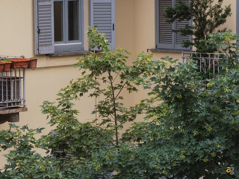 recensione-huawei-p40-pro-plus