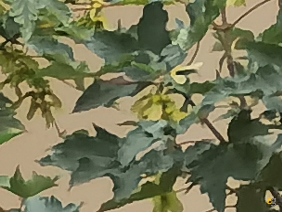 recensione-huawei-p40-pro-plus