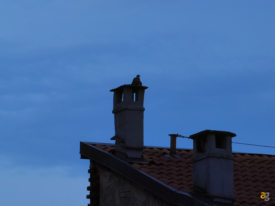 recensione-huawei-p40-pro-plus