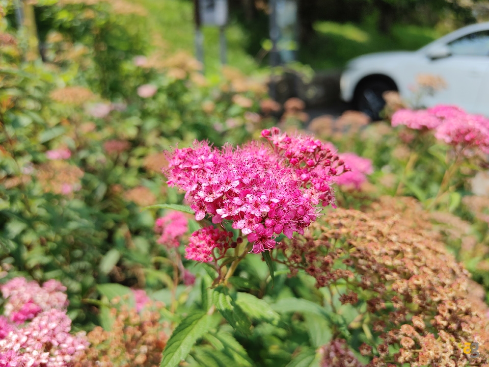 recensione-lg-velvet