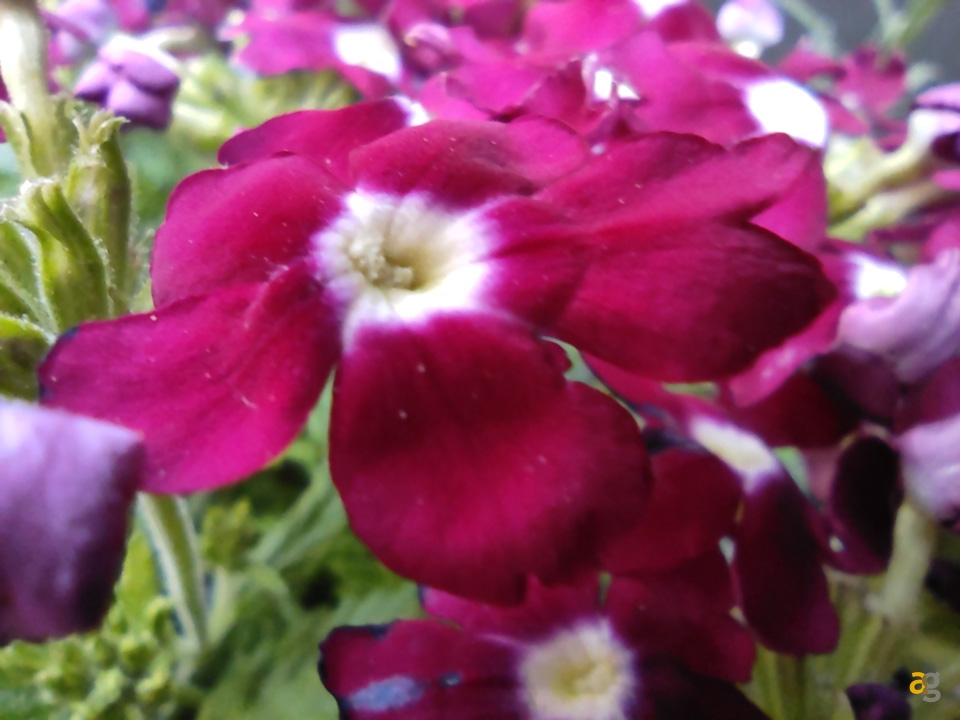 recensione-xiaomi-mi-10-lite-5g