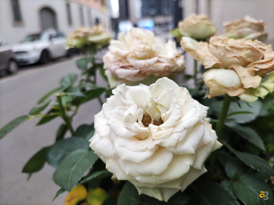 recensione-xiaomi-mi-10-lite-5g