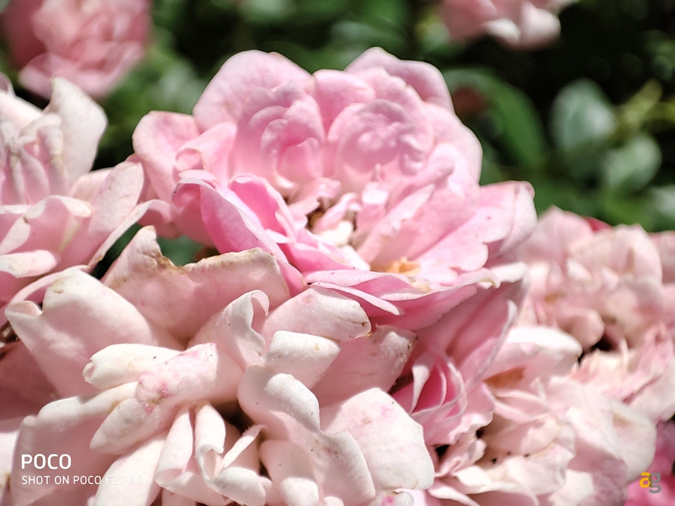 recensione-poco-f2-pro