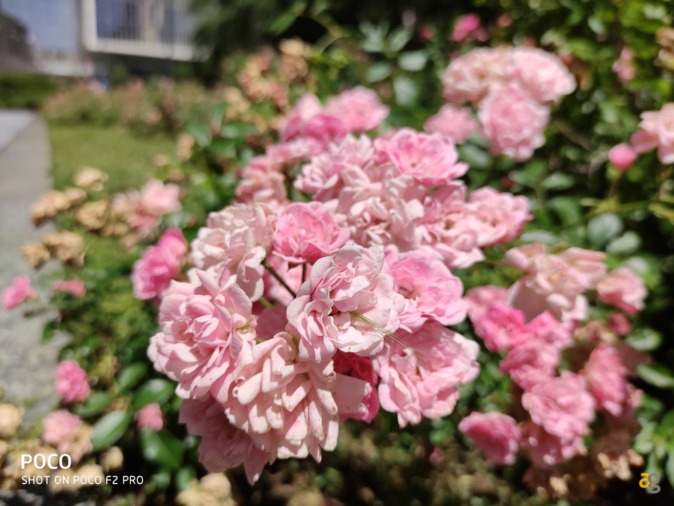 recensione-poco-f2-pro